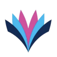 Logo Virtual Health Partners, Inc.