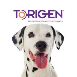 Logo Torigen Pharmaceuticals, Inc.