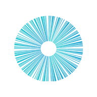 Logo Barcode Diagnostics Ltd.