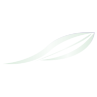 Logo Sage Management LLC
