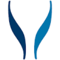 Logo Synlab Holdco Ltd.