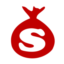 Logo Save Solutions Pvt Ltd.