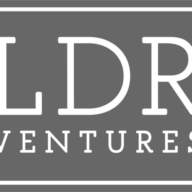 Logo LDR Ventures, Inc.