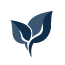 Logo Videdals Privatskolor AB
