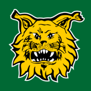 Logo Ilves Hockey