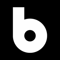 Logo BiSN Holdings Ltd.