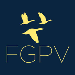 Logo FGP Venture Sp zoo