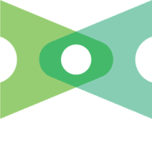 Logo Vision Healthcare NV