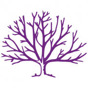Logo Nitrase Therapeutics, Inc.