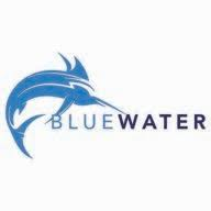 Logo Blue Water Development Corp.