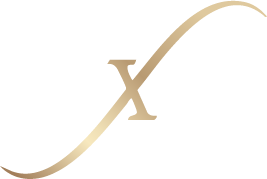 Logo BELViNi.DE GmbH
