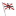 Logo Schiffahrts-Gesellschaft AMERICA mbH & Co. KG