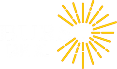 Logo Burst Capital Management LLC