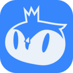 Logo Playfull, Inc.