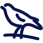 Logo The Albion Foundation