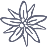 Logo Best Smile AG