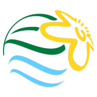 Logo Serra do Facão Energia SA