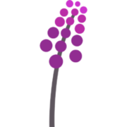 Logo Prilenia Therapeutics Development Ltd.