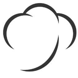 Logo The Israel Cotton Board Ltd.