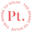 Logo Platinum Industries Ltd.