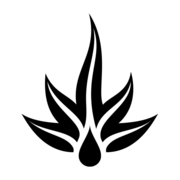 Logo Cinco Spirits Group LLC