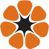 Logo NT Department of Treasury & Finance