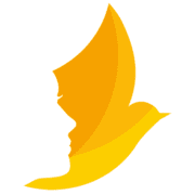 Logo Advance Advocacy & Non-violence Community Education