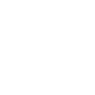 Logo Conwy Brewery Ltd.
