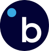 Logo Bindle Systems, Inc.