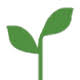 Logo Rumafeed Ltd.