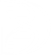 Logo Bridge Diagnostics LLC