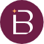 Logo Bellwether Education Partners, Inc.