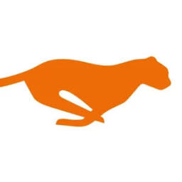 Logo Opheo Solutions Beteiligungs GmbH