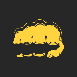 Logo Bare Knuckle Fighting Championship, Inc.