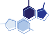 Logo Exciplex, Inc.