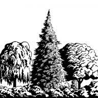 Logo Arboretum Foundation