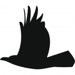 Logo Raven Capital Management