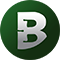 Logo Bcg Land JSC