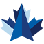Logo BluMaple Capital Partners GP, Inc.