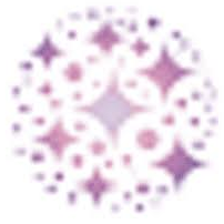 Logo Stellifi VC