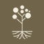 Logo Saudi Coffee Co.