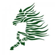 Logo Green Zebras SA
