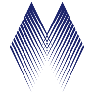 Logo Temerity Strategic Partners