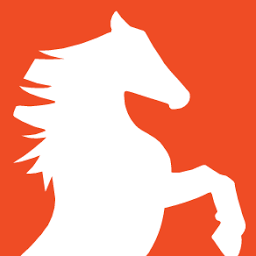 Logo Stallion Infrastructure Services Ltd.