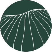 Logo Intact SAS (France)