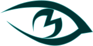 Logo M-Vision Inc