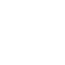 Logo The Falkirk Football & Athletic Club Ltd.