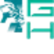 Logo Gear Head Co. Ltd.
