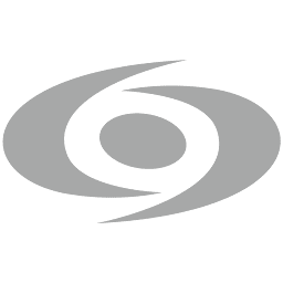 Logo Novus Holdings Ltd.